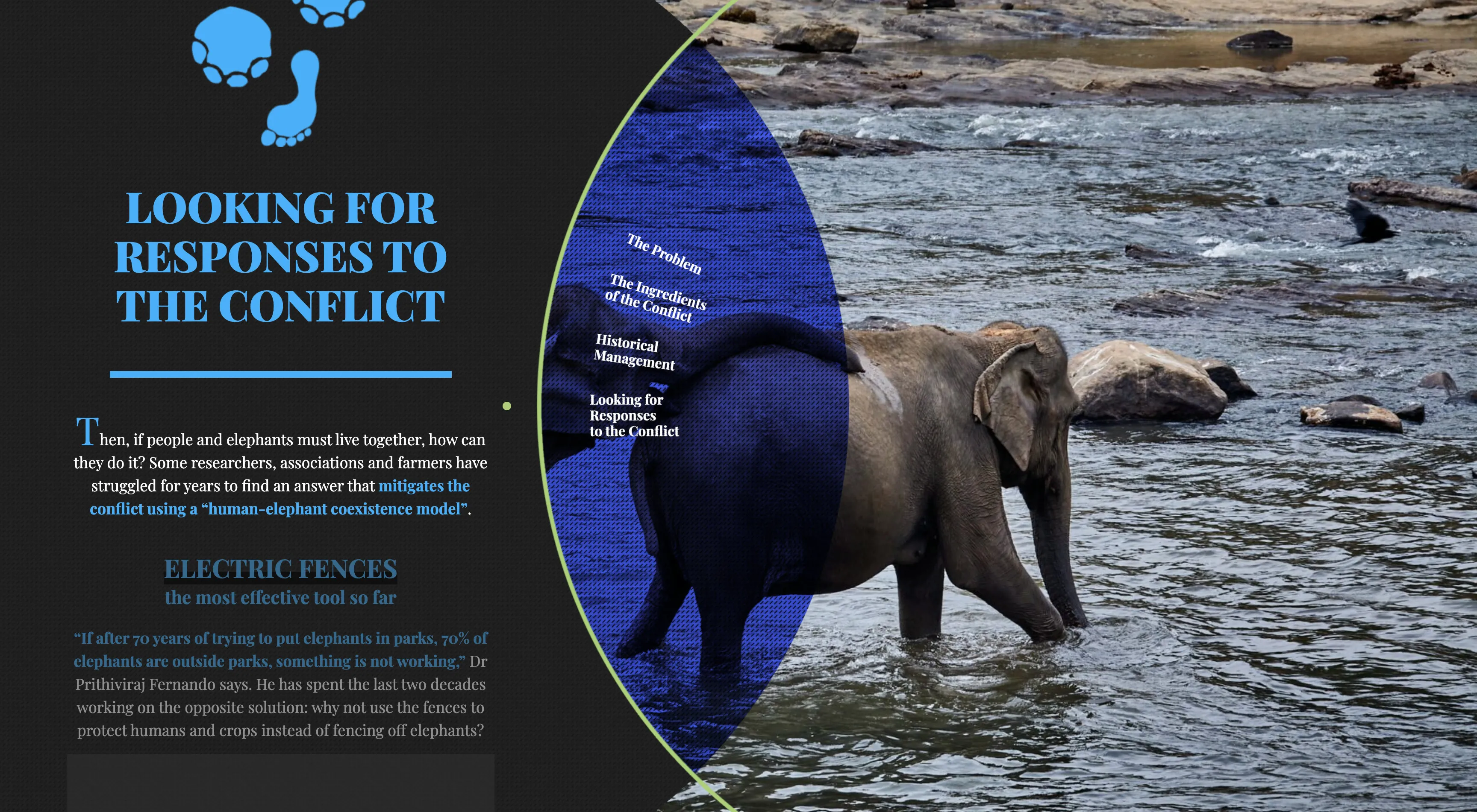 Interactive multimedia story 1