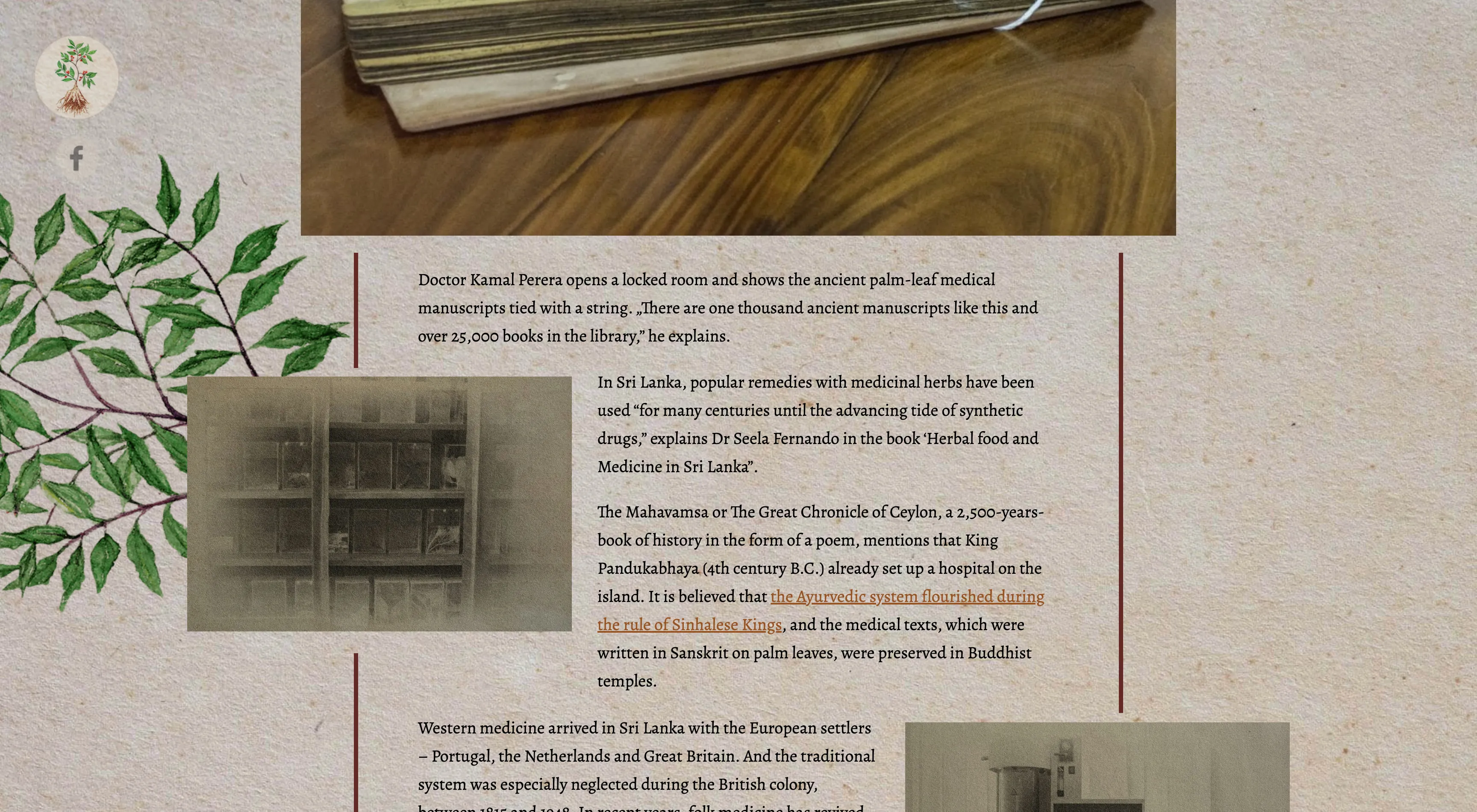 Interactive multimedia story 2